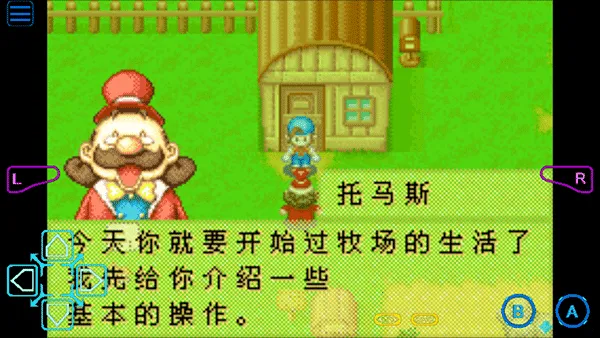 ���������ʯ��Ļ����2013������(������������)v2.0.0 �ֻ����ͼ