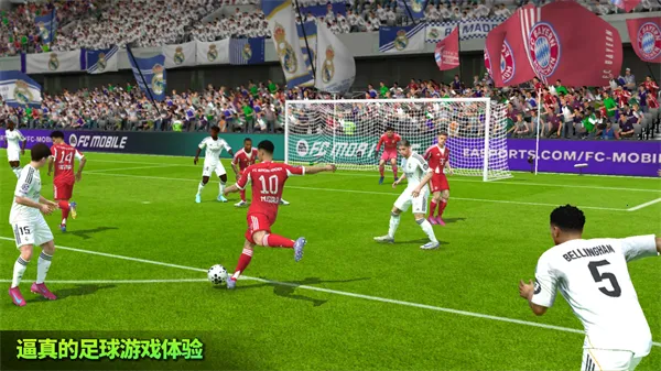 FIFA 222026�ٷ�����v3.2.113645 ��Ѱ��ͼ