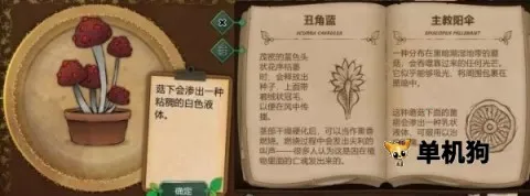 ����԰�������ֻ���