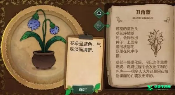 ����԰�������ֻ���