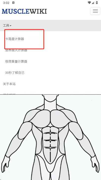 Muscle Wiki2026�ٷ����°汾v3.0.9 ��׿���ͼ