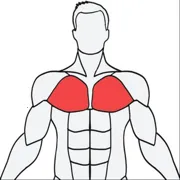 Muscle Wiki2026�ٷ����°汾v3.0.9 ��׿��