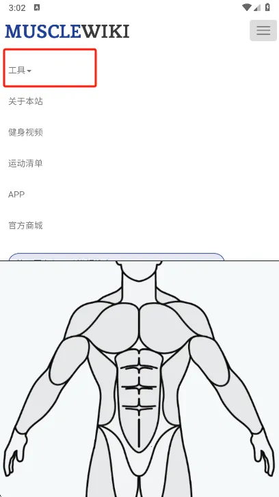 Muscle Wiki2026�ٷ����°汾v3.0.9 ��׿���ͼ