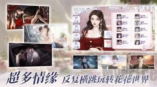 怪我过分美丽2026官方正版 怪我过分美丽2026官方正版