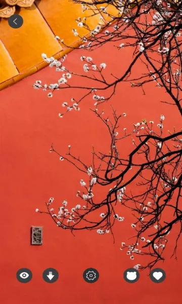 ��ֽ����Wallpaperv2.7.4 ��׿���ͼ