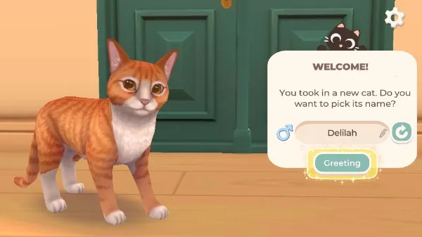 猫咪救援故事2026最新版本 猫咪救援故事2026最新版本