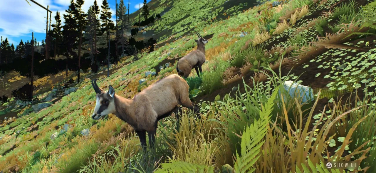 ����֮·��Ұŷ��2026�ٷ����°汾v0.11.15.A3 �ֻ����ͼ