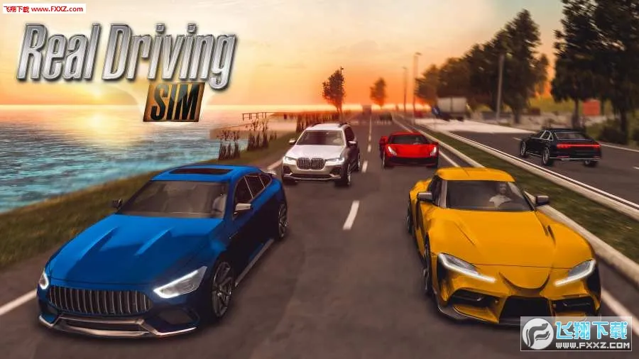 ��ʵ��ʻģ��3Dv2.5 �ֻ����ͼ