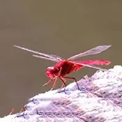 �����ѵ��Ӻ���2026���ذ�װv1.0 �ֻ���