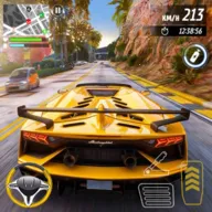 ��ʵ����������ʻ 3D(������ʻģ����Ϸ)v1.0.1 ��׿��