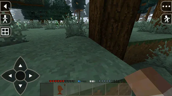 ����ս��2.3�����