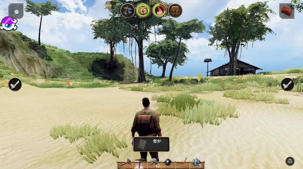 辐射岛高级版 辐射岛高级版