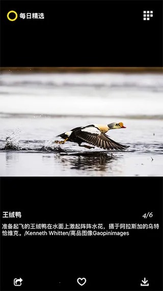 ÿ�վ�ѡ(����Ӱ��չʾ)