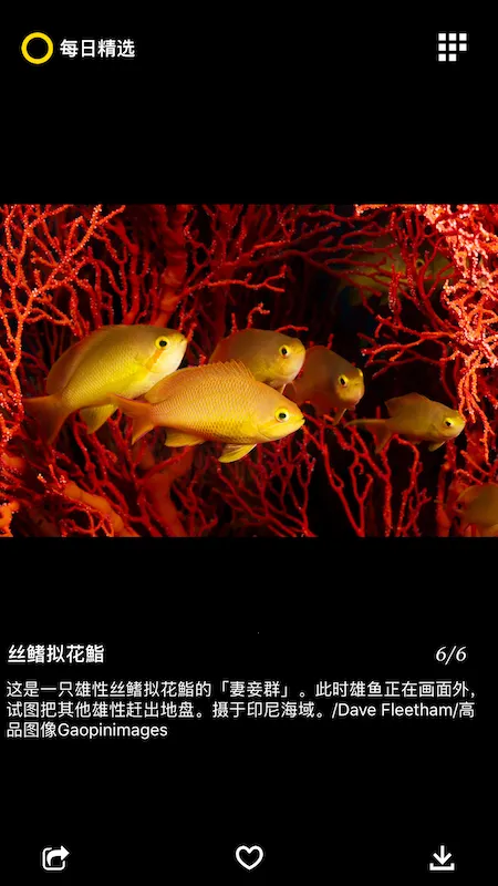 ÿ�վ�ѡ(����Ӱ��չʾ)v3.0.7 �ֻ����ͼ