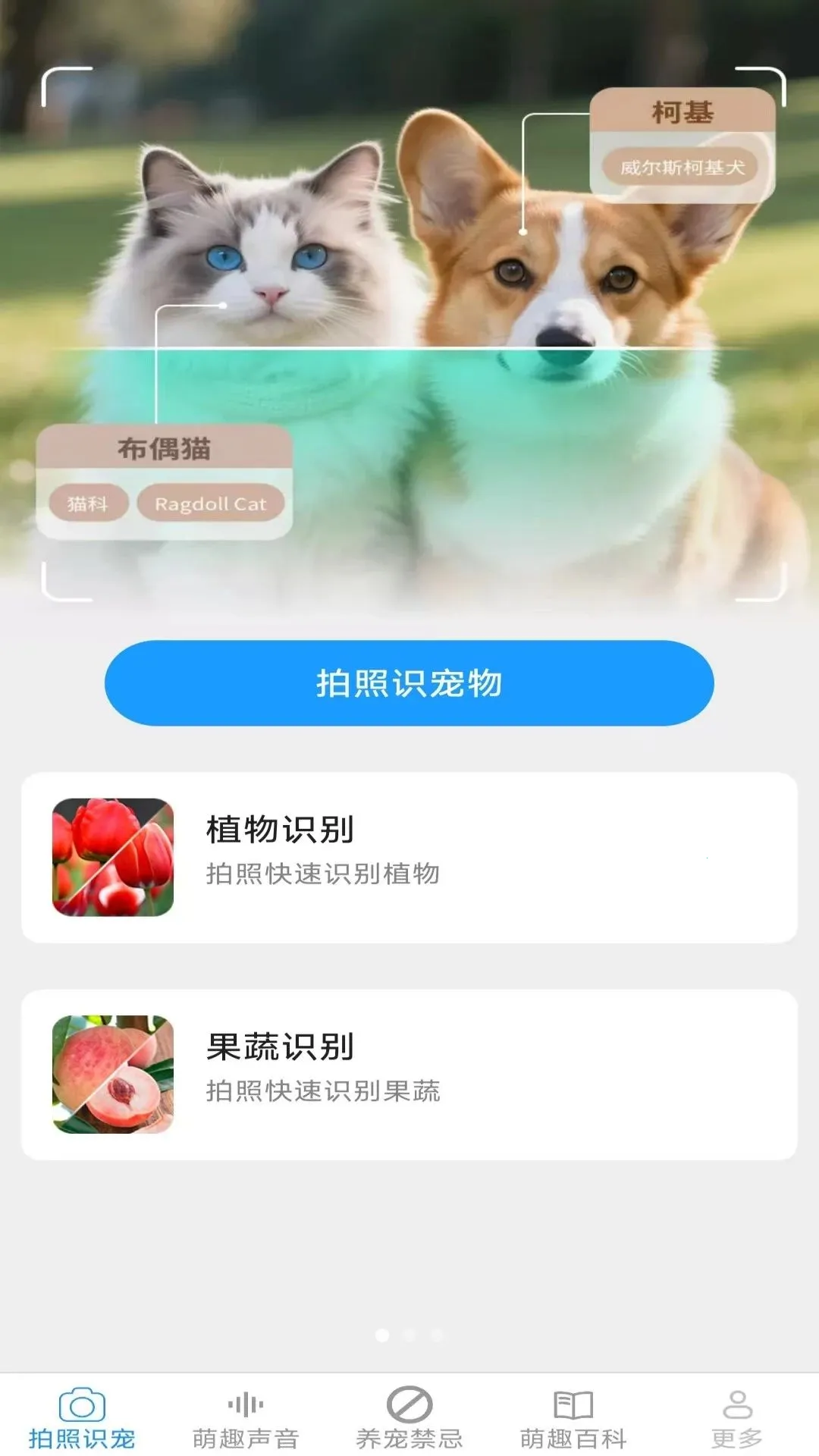 Ԫ������(��������Ӧ��)v2.6.6.3 ��Ѱ��ͼ