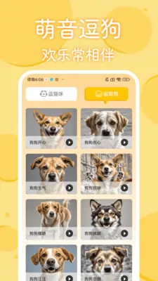 è�������﷭���������ֻ���v1.0.2 ��׿���ͼ