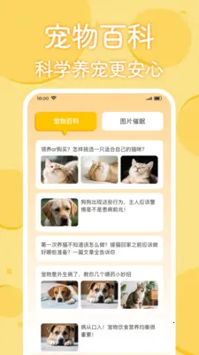 è�������﷭���������ֻ���v1.0.2 ��׿���ͼ