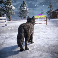 ��ģ���� 3D(��ģ����Ϸ)v1.0.6 �ٷ�����