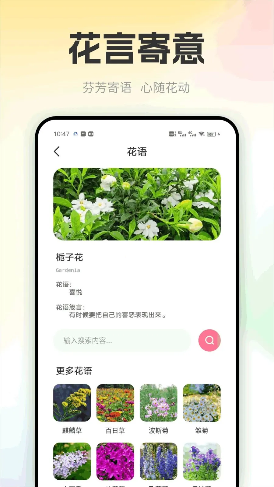 ��������2026�ٷ�����v1.0.1 ��Ѱ��ͼ