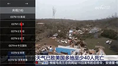 油桃TV2026下载安装 油桃TV2026下载安装