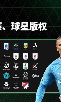 FC��������������ع��(���򾺼�����)v31.0.02 ��Ѱ��ͼ