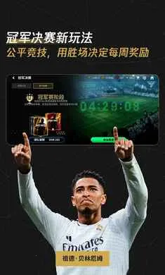 FC��������������ع��(���򾺼�����)v31.0.02 ��Ѱ��ͼ