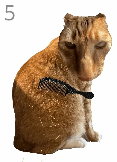 ��è��ë(��è��ë��Ϸ)