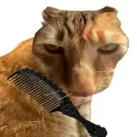 ��è��ë(��è��ë��Ϸ)v1.0 ��׿��