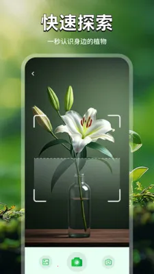 ��廨ֲ��2026�ٷ�����v1.1 �ٷ������ͼ