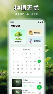 ��廨ֲ��2026�ٷ�����v1.1 �ٷ������ͼ