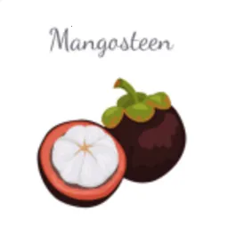 ɽ������2026�ٷ����°汾v3.6.1 �ֻ���