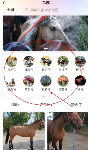 ��ͳ2026���°汾