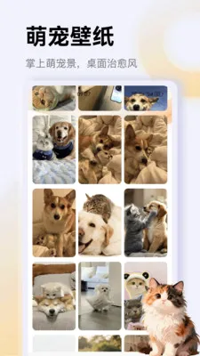 ����è��app(è��һվʽƽ̨)v1.1 �ٷ������ͼ