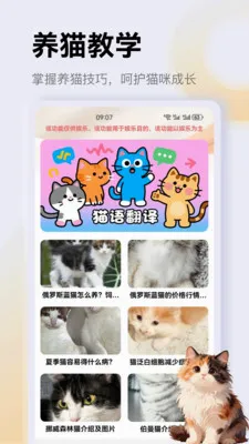����è��app(è��һվʽƽ̨)v1.1 �ٷ������ͼ