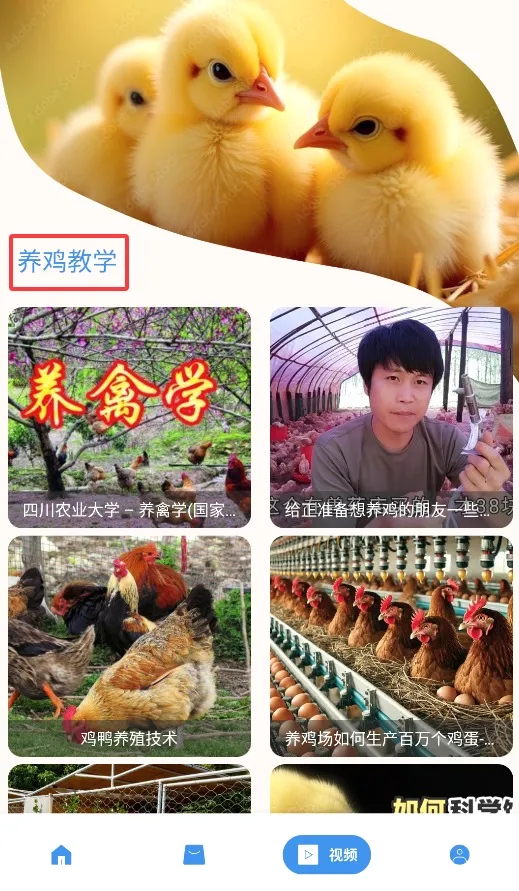 养鸡宝(养鸡管理app) 养鸡宝(养鸡管理app)