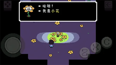 Evan�ĳ�����˵-UTMOD��2026���°汾