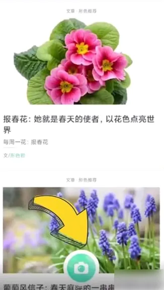 形色(植物识别软件) 形色(植物识别软件)