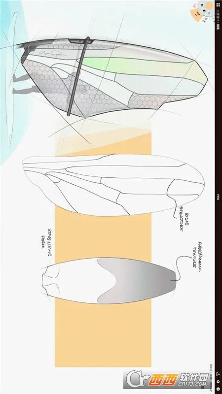 Concepts2026���°汾v2025.06.1 �ֻ����ͼ