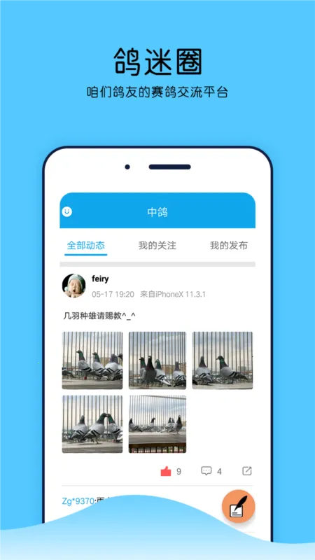 中鸽网最新手机版 中鸽网最新手机版
