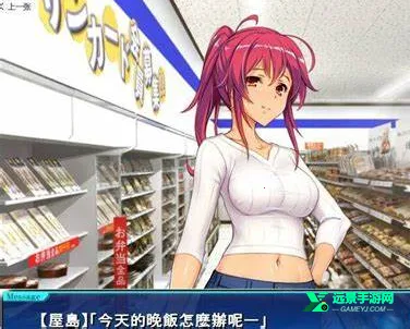 便利店少女Z(便利店经营游戏) 便利店少女Z(便利店经营游戏)