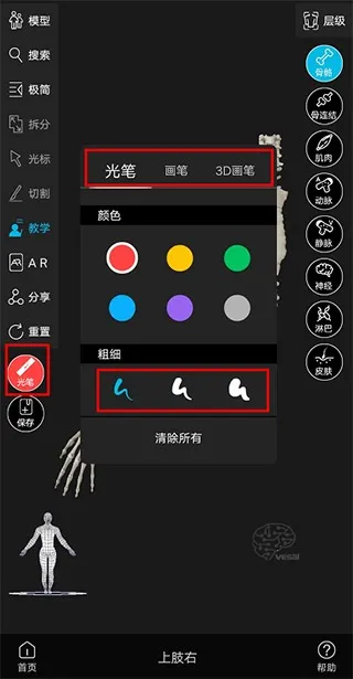 解剖大师(解剖医学平台) 解剖大师(解剖医学平台)