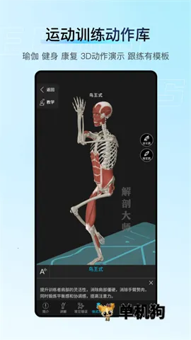 解剖大师(解剖医学平台) 解剖大师(解剖医学平台)
