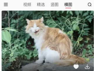 汽水壁纸(壁纸软件功能全) 汽水壁纸(壁纸软件功能全)