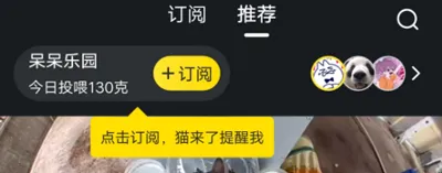 街猫(流浪猫关爱平台) 街猫(流浪猫关爱平台)