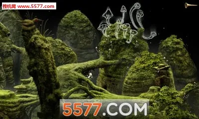 �������ռ�3(ð�ս�����Ϸ)v8.5.4.0 �ٷ������ͼ