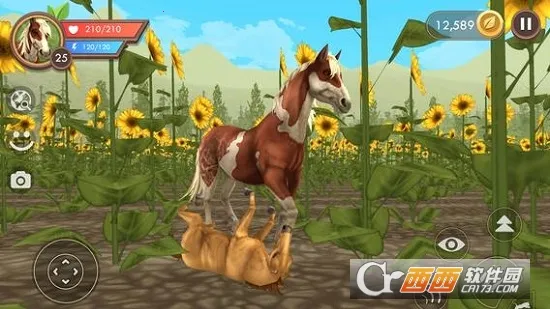 WildCraft2026�ٷ����°汾39.0_powervr ��׿���ͼ