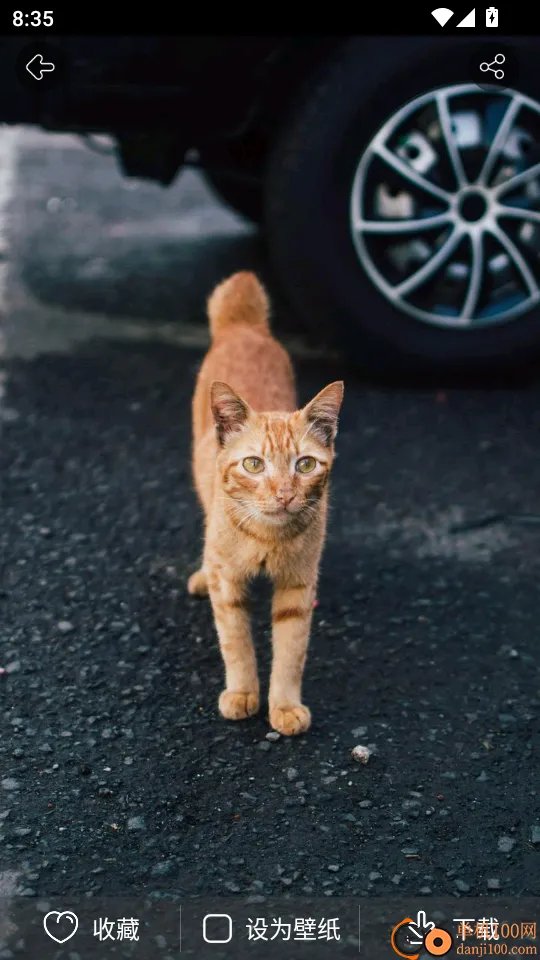 猫语翻译器2026官方最新版本 猫语翻译器2026官方最新版本
